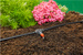 Zestaw podstawowy M do nawadniania roślin doniczkowych MICRO-DRIP-SYSTEM Gardena 13001-20