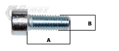 M12x25 ŚRUBA IMBUSOWA OCYNKOWANA