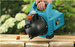 Pompa ogrodowa sieciowa Gardena Classic 3000/4 o mocy 600 W 1707-20