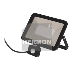 Naświetlacz LED 50W 230V barwa zimna z czujnikiem ruchu Hermon GMPQY1304SCH