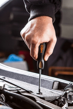 Zestaw wkrętaków płaskich i krzyżowych ze stali S2 6 sztuk Neo 04-213