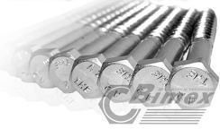 M6x120 WKRĘT DO DREWNA NIERDZEWNY A2 NA KLUCZ DIN 571 | OPAKOWANIE 3 SZT.